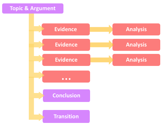 flowchart showing paragraph structure