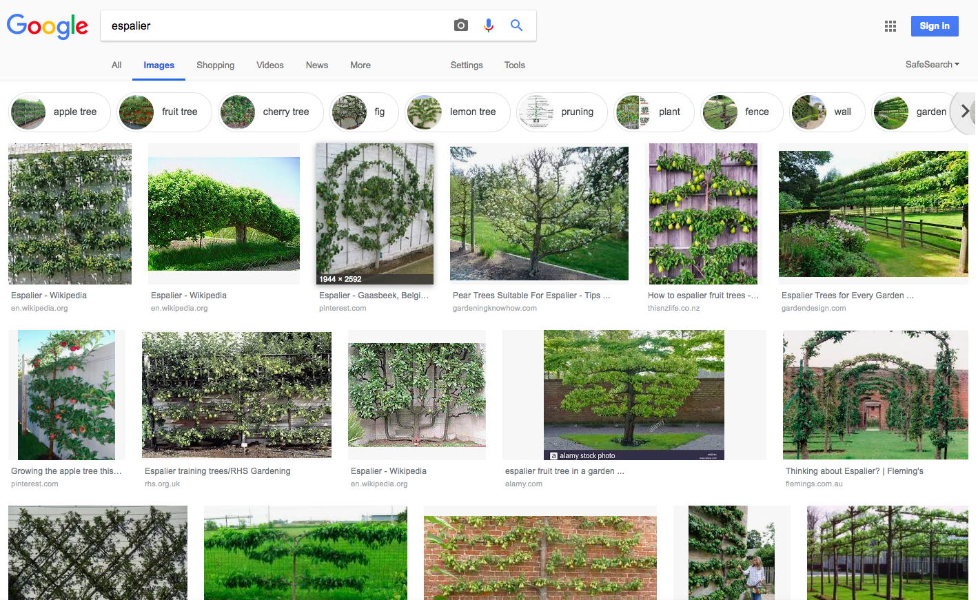 Image search results.