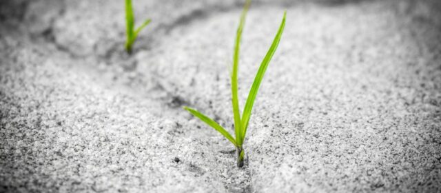 Resilience in the Face of Change