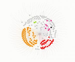 A visualization map of my LinkedIn connections showing my work contacts  since 2002