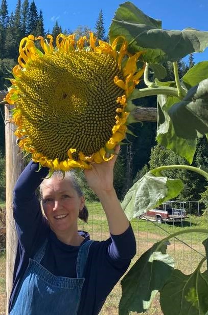Lisa with a very large sunflower head, grown in the garden. The sunflower head is bigger than Lisa's upper body, the talk is wider than her wrist.