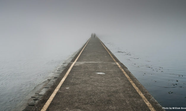 Virtual Symposium reflections on openness and relaxing my grip on course structure