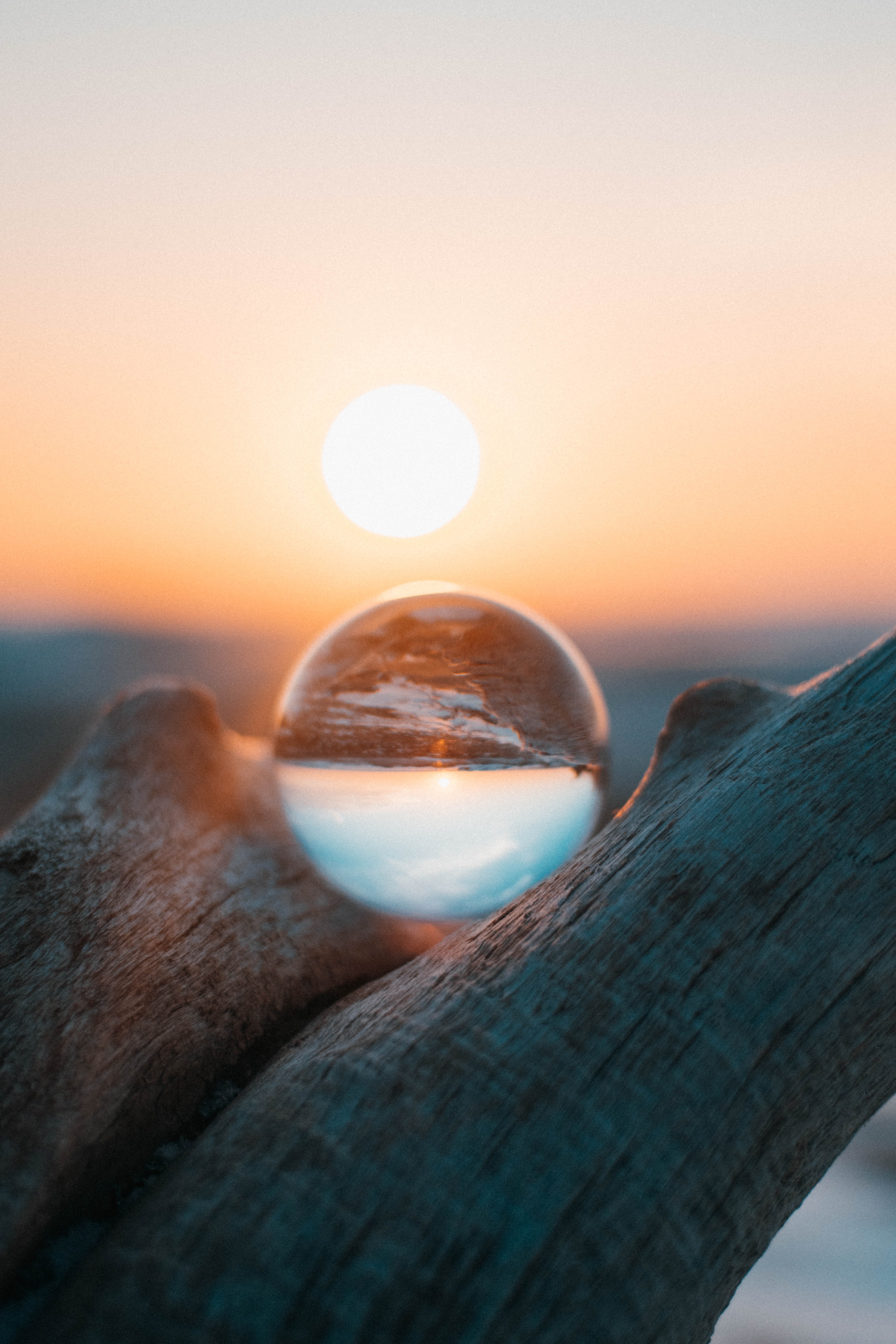 Cultivating Digital Identity
