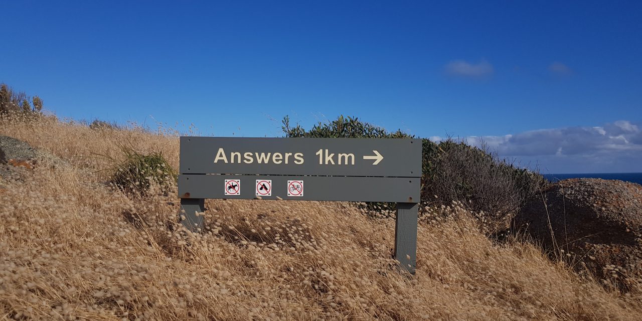 Reflecting on a Q&A with Dr. George Veletsianos