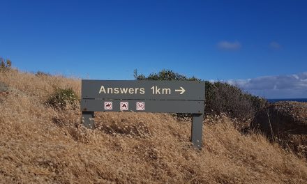 Reflecting on a Q&A with Dr. George Veletsianos